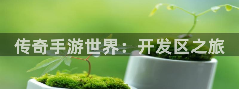 V8娱乐：传奇手游世界：开发区之旅