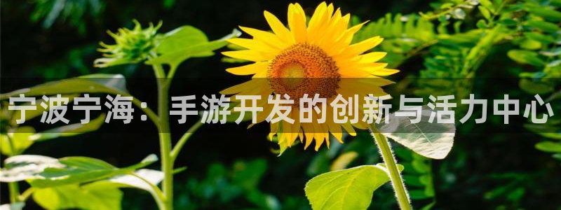 V8娱乐：宁波宁海：手游开发的创新与活力中心