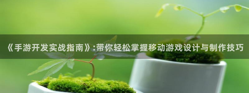 V8娱乐平台：《手游开发实战指南》:带你轻松掌握移动游戏设计