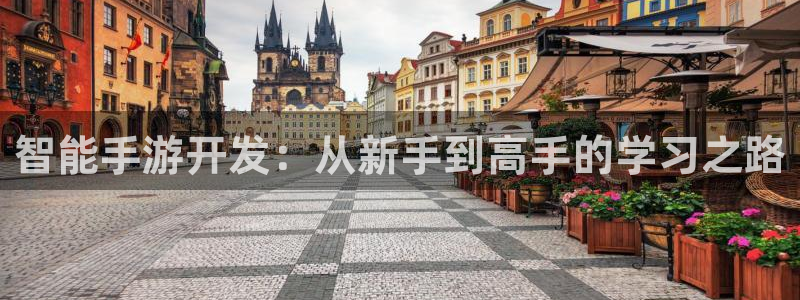 V8娱乐平台：智能手游开发：从新手到高手的学习之路