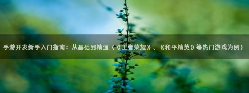 V8娱乐注册：手游开发新手入门指南：从基础到精通（《王者荣耀