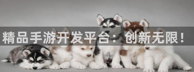 V8娱乐登录：精品手游开发平台：创新无限！
