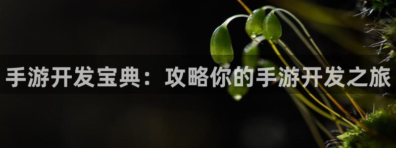 V8娱乐注册：手游开发宝典：攻略你的手游开发之旅