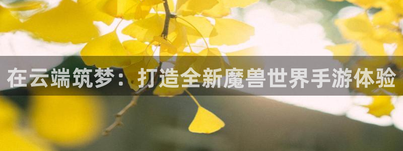 V8娱乐平台