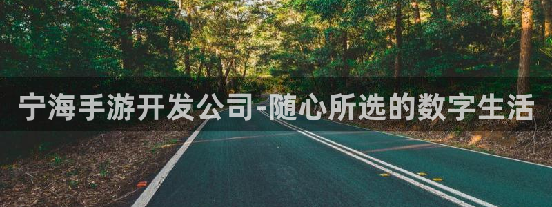 V8娱乐官网：宁海手游开发公司-随心所选的数字生活