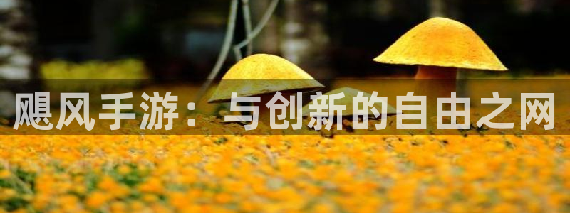 V8娱乐：飓风手游：与创新的自由之网