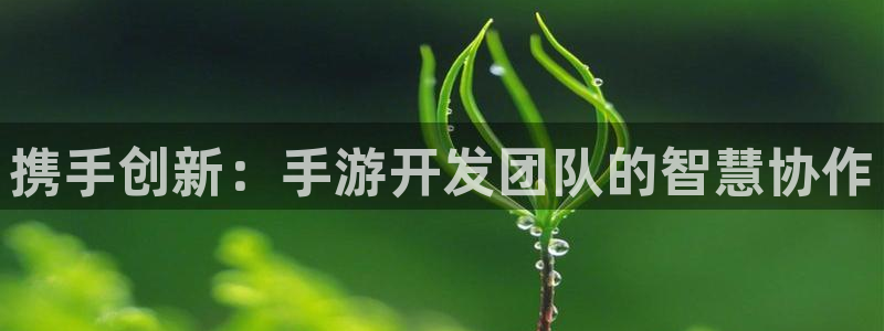 V8娱乐登录：携手创新：手游开发团队的智慧协作