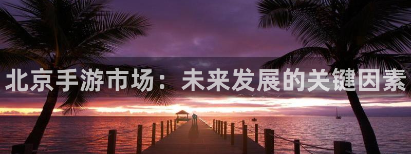 V8娱乐网：北京手游市场：未来发展的关键因素