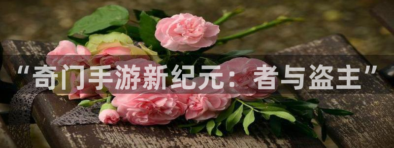 V8娱乐平台：“奇门手游新纪元：者与盗主”