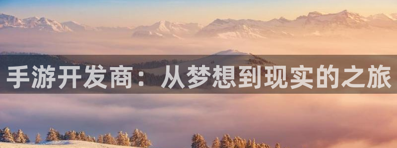 V8娱乐平台：手游开发商：从梦想到现实的之旅