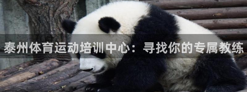 三亿体育