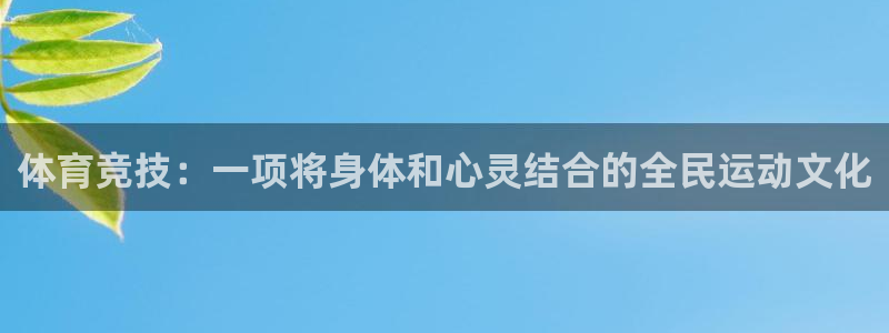 三亿体育网页版：体育竞技：一项将身体和心灵结合的全民运动文化